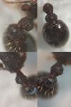 Tetramorium moravicum