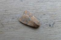 Cirrhia gilvago