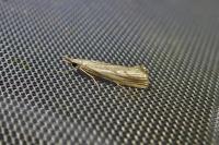 Agriphila geniculea