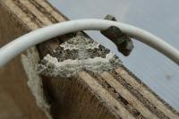 Epirrhoe alternata