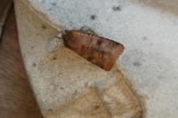 Diarsia rubi