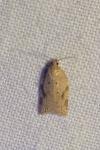 Acleris ferrugana/notana