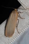 Katha depressa
