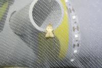 Acleris ferrugana/notana