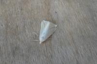 Rhodometra sacraria