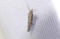 Plutella xylostella