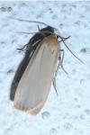 Katha depressa