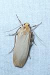 Katha depressa