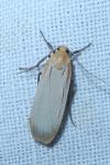 Katha depressa
