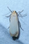 Katha depressa