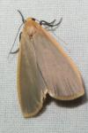 Katha depressa