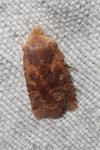 Conistra staudingeri