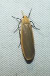 Katha depressa