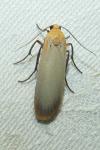 Katha depressa