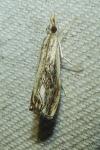 Catoptria verellus