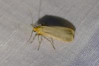 Katha depressa