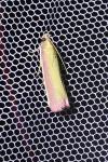Oncocera semirubella
