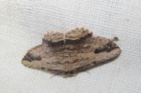Menophra abruptaria