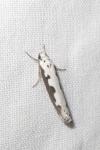 Ethmia bipunctella