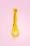 Caryocolum marmoreum