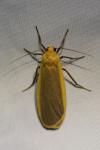 Katha depressa