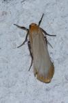 Katha depressa