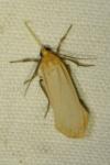 Katha depressa