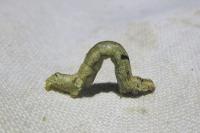 Ectropis crepuscularia