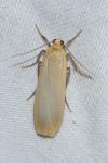 Katha depressa