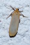 Katha depressa