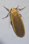 Katha depressa
