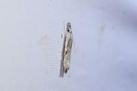 Platytes alpinella