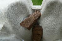 Mythimna albipuncta